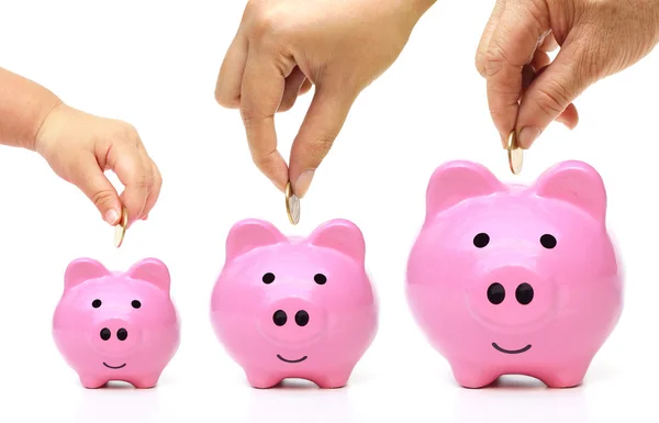 Golden coins to a green piggy banks — Stock Photo, Image