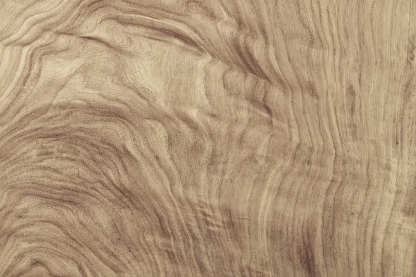 木の質感と自然パターン — ストック写真