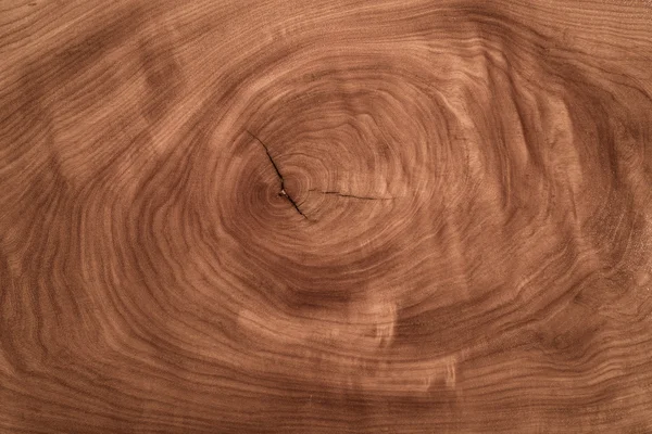 Textura de madeira com padrão natural — Fotografia de Stock