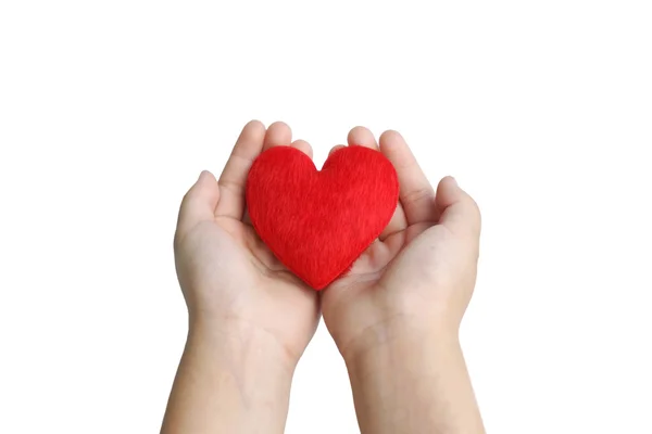 Händerna håller i ett rött hjärta — Stockfoto