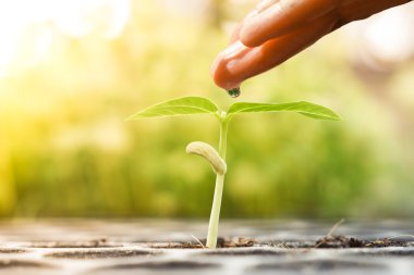 genç bebek bitki sulama el