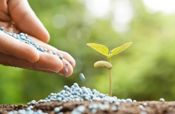 Hand watering young baby plants — Stock Photo, Image