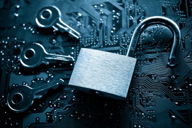 veri güvenliği kavramı