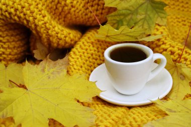 Sarı yapraklı sonbahar kahvesi.