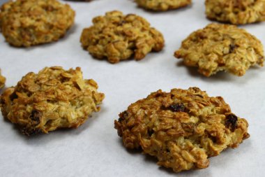 Gri arka planda kuru üzümlü ev yapımı yulaflı kurabiyeler.