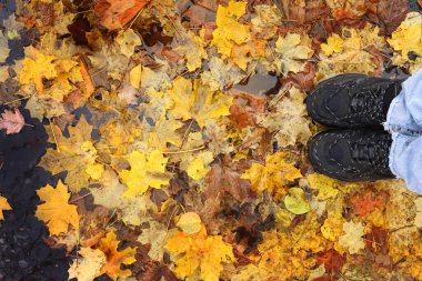 Ayaklar spor ayakkabılarla sonbahar kaldırımında durur, yapraklar su birikintisinde. Yukarıdan görünüşü
