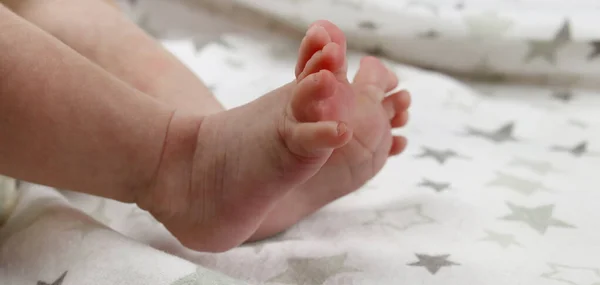 Newborn Baby Feet Blanket Closeup — Stock Photo, Image