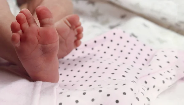 Infant Newborn Baby Feet Blanket Closeup Selective Focus — Stock Photo, Image