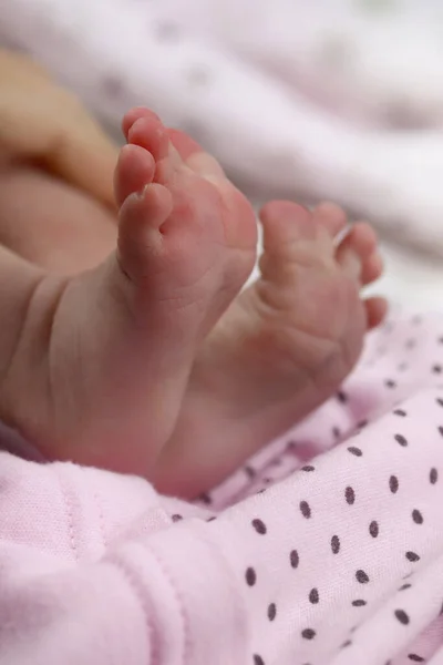 Infant Newborn Baby Feet Blanket Closeup Selective Focus — Stock Photo, Image