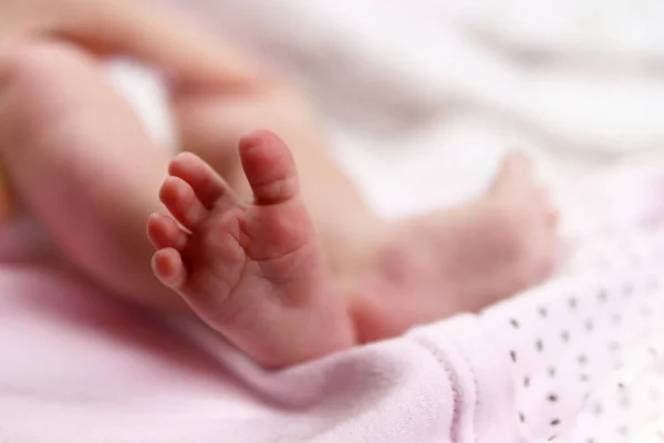 Infant Newborn Baby Feet Blanket Closeup Selective Focus — Stock Photo, Image