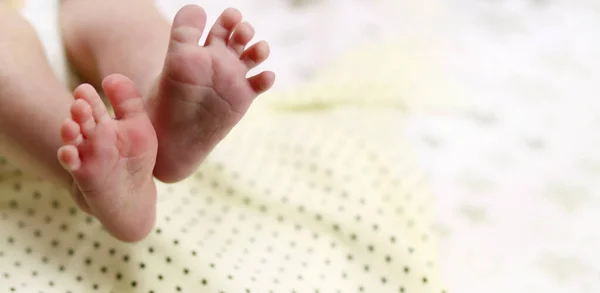 Infant Newborn Baby Feet Blanket Closeup Copy Space Text — Stock Photo, Image