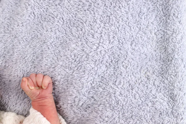Infant Newborn Baby Hand Fluffy Blanket Copy Space Text — Stock Photo, Image