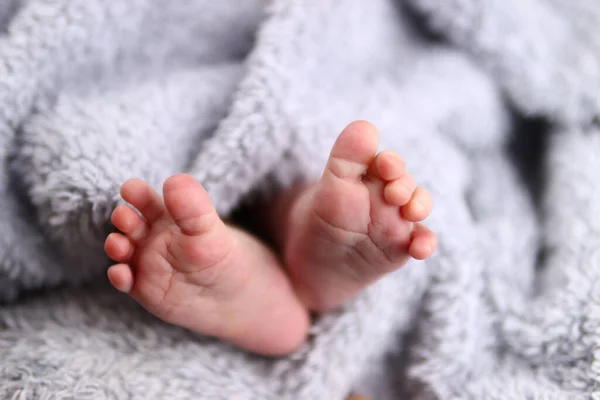 Yeni Doğmuş Bebeğin Ayakları Pofuduk Bir Battaniyenin Içinde — Stok fotoğraf