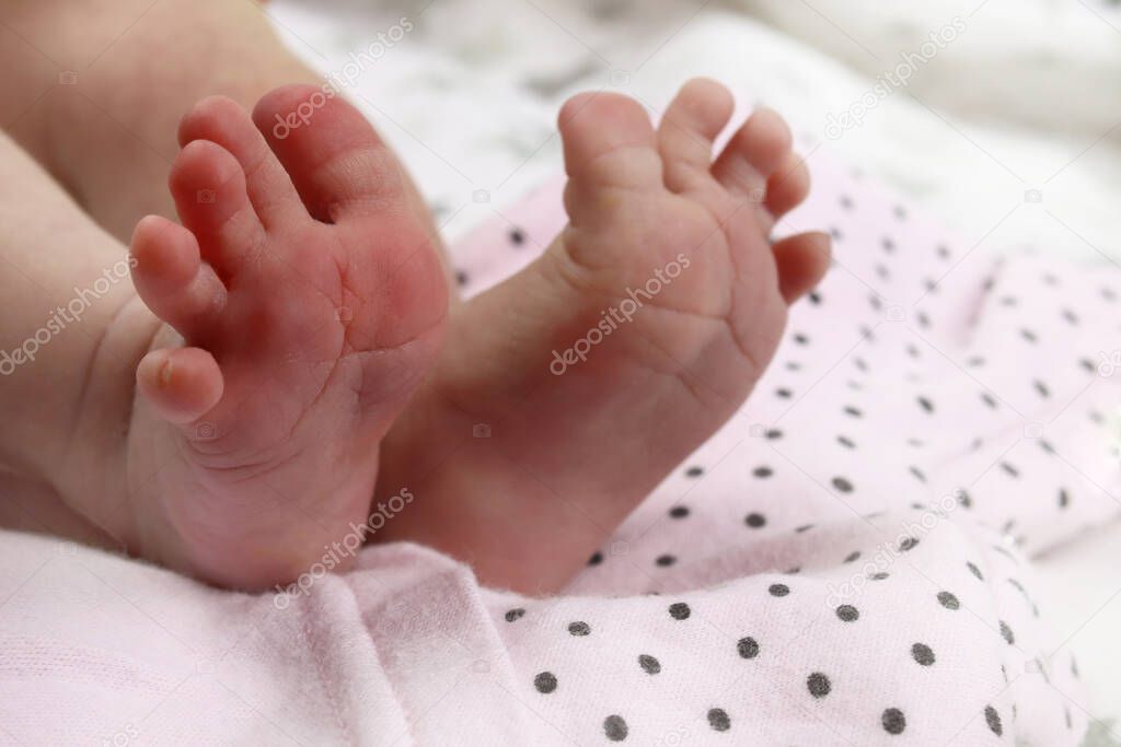 infant, Newborn baby's feet on blanket closeup