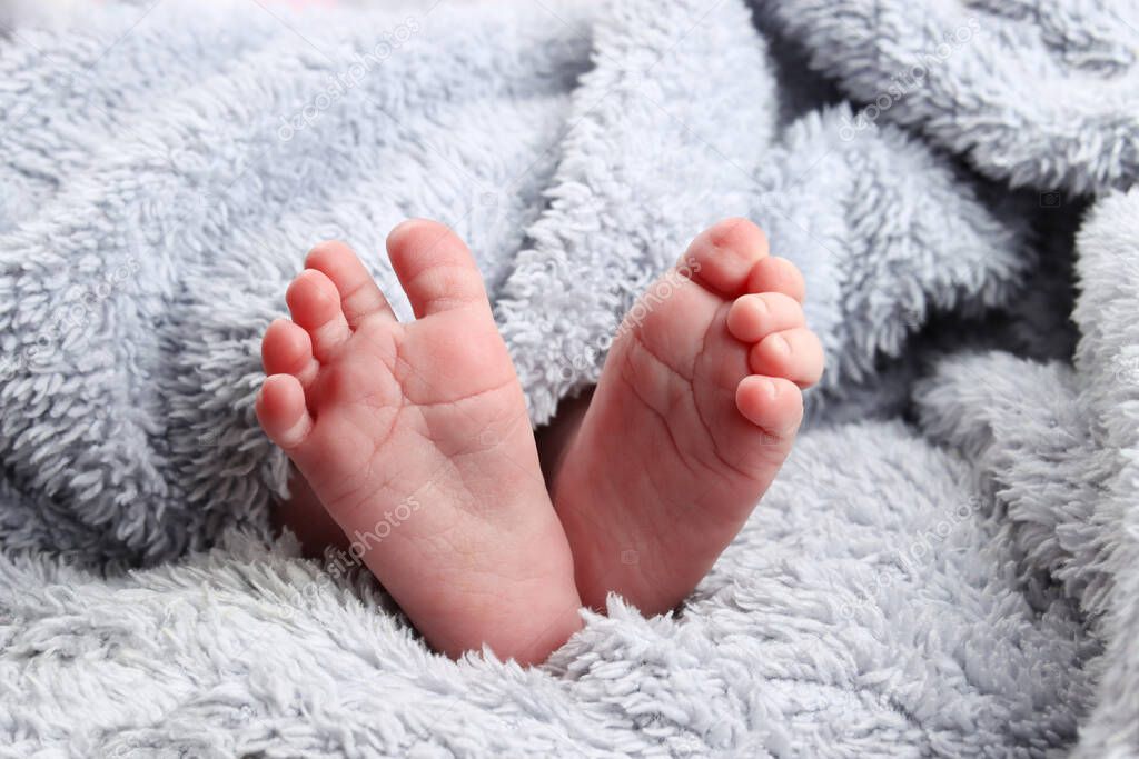 newborn baby's feet in a fluffy blanket