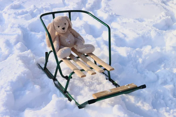 Sledge with a soft toy hare. Active winter holidays