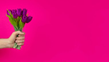 Adamın eli mor lalelerden bir buket tutuyor. Anneler ya da Sevgililer Günü için tebrik kartı. Metin için alanı kopyala