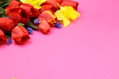 Pembe arka planda bir buket bahar çiçeği