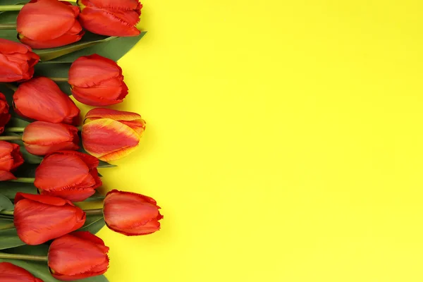 Bouquet Red Tulip Flowers Yellow Background — Stock Photo, Image