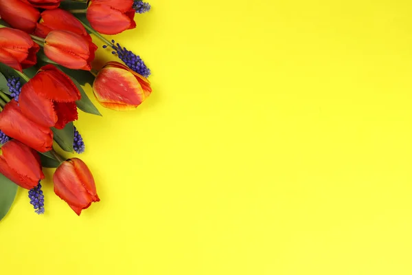 Ramo Flores Tulipán Rojo Sobre Fondo Amarillo — Foto de Stock