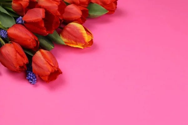 ピンクの背景に赤いチューリップ はがきのためのブランク — ストック写真
