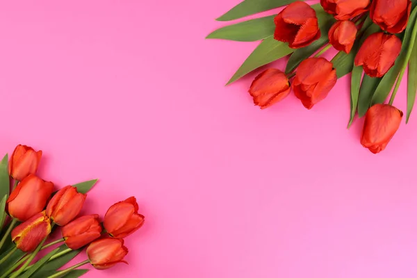 Tulipani Rossi Sfondo Rosa Bianco Cartoline Biglietti Visita — Foto Stock