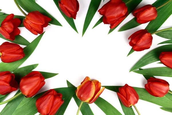 Mockup Tulip Flowers White Background — Stock Photo, Image