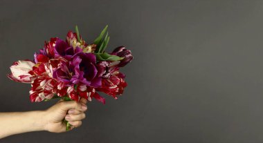 Gri arka planda bir buket güzel çiçekle. Yatay Pankart