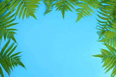 Mavi arka planda yeşil yaprak çerçeve. Metin için alanı kopyala