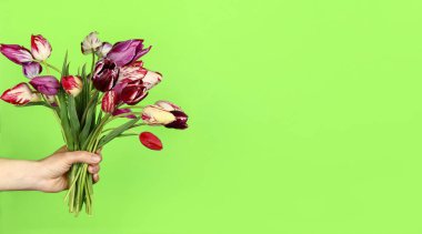 Yeşil arka planda bir buket güzel çiçekle. Yatay Pankart