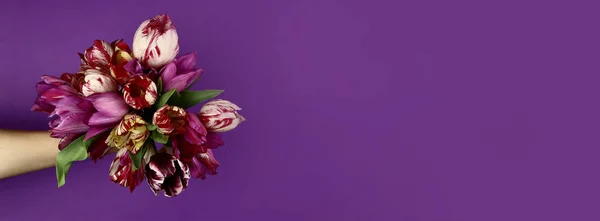 Ręka Bukietem Pięknych Kwiatów Fioletowym Tle Baner Poziomy — Zdjęcie stockowe