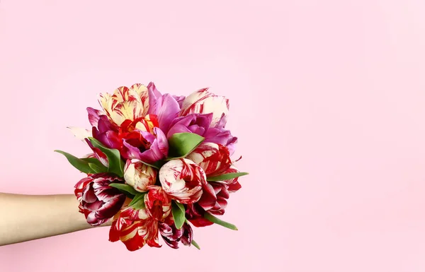 ピンクの背景にチューリップの花束で手 — ストック写真