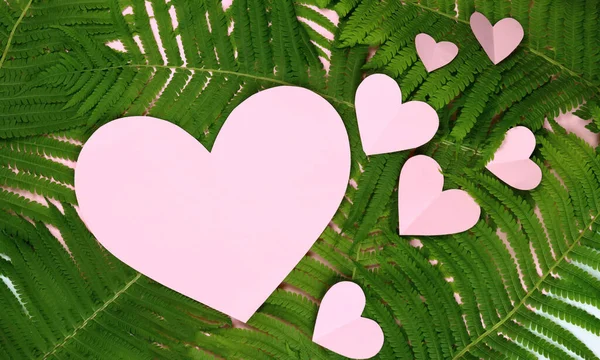 Tropic Photo Mock Empty Space Form Heart Background Green Leaves — Stock Photo, Image