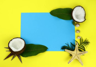 Yaz başlığı, hindistan cevizi ve tropikal yapraklar, tatil konsepti. Metin için alanı kopyala