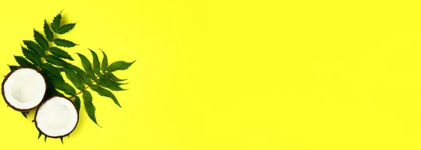 Letni Jasny Sztandar Kokos Liście Tropikalne Żółtym Tle Kopiuj Miejsce — Zdjęcie stockowe