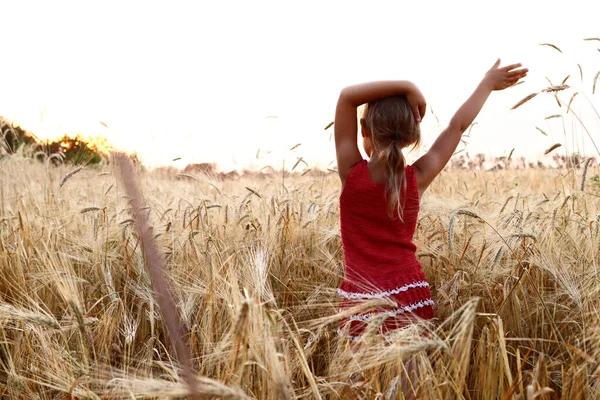 Mädchen Freut Sich Über Den Sonnenaufgang Oder Sonnenuntergang Einem Weizenfeld — Stockfoto