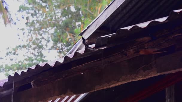 Regentropfen auf altem Zinkdach mit Dolly-Schieber-Schuss — Stockvideo