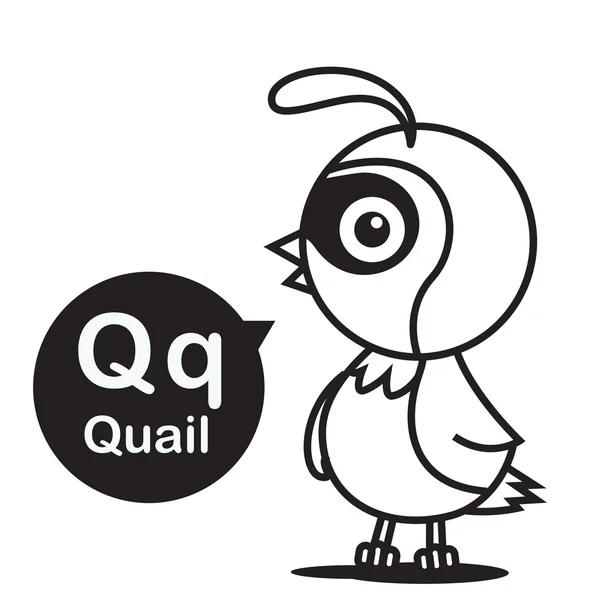 Q Quail мультфильм и алфавит для детей к обучению и колори — стоковый вектор