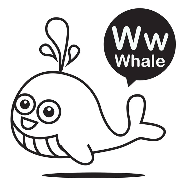 W Whale cartoon and alphabet for children to learning and colori — Stock Vector