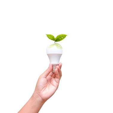 Kadın el Led ampul beyaz arka plan üzerinde tutarak, izole