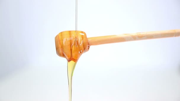 Cerca de verter la naturaleza miel goteando — Vídeos de Stock