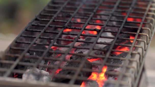 煙と木製の炭素炭でバーベキューグリルに火を設定クローズアップショット フィールドの選択的焦点浅い深さ — ストック動画