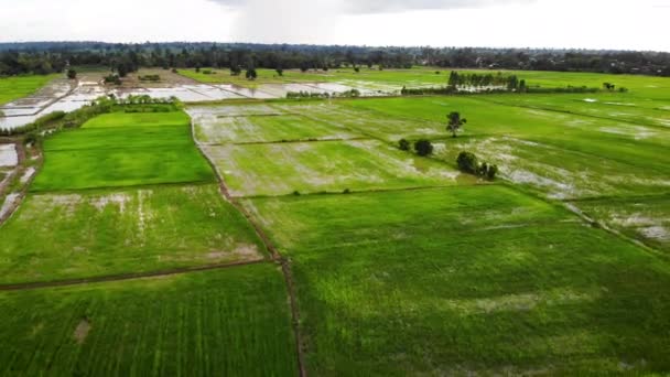 Vista Alto Ângulo Drone Shot Vista Aérea Paisagem Cênica Uma — Vídeo de Stock