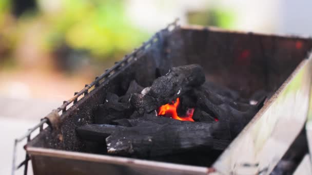煙と木製の炭素炭でバーベキューグリルに火を設定クローズアップショット フィールドの選択的焦点浅い深さ — ストック動画
