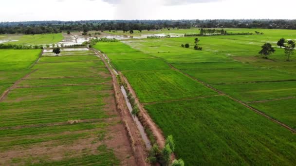 Alto Ángulo Vista Dron Plano Vista Aérea Paisaje Escénico Una — Vídeos de Stock