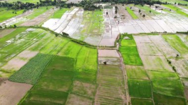 Yüksek açılı insansız hava aracı, tropik bölgedeki bir tarım çiftliğinin manzaralı manzarasını çekti.