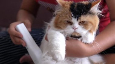 Drone, Fütürist İHA ile hava görüntüleme manzarası çekti. Ekran arayüzü başı yukarı