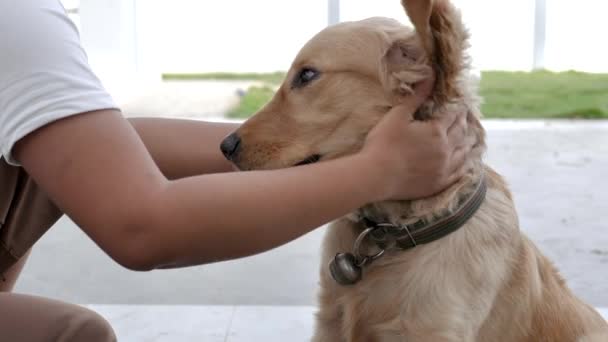 Hands Young Woman Softly Touching Hands Old Woman Consolation Encourage — Stock Video