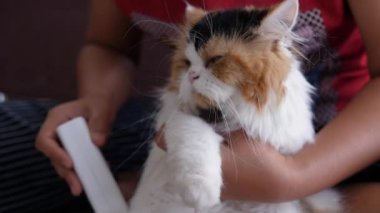 Drone, Fütürist İHA ile hava görüntüleme manzarası çekti. Ekran arayüzü başı yukarı