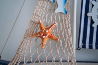 Teknede kabuk ile yıldız balık ve net